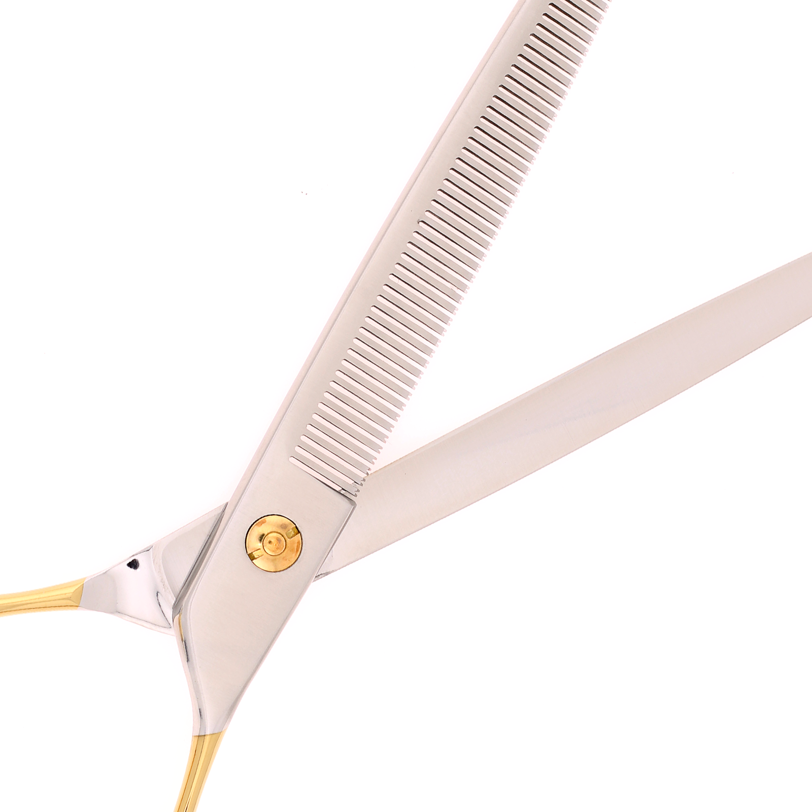 Titan Shears - Thinning Golden Handle Ergonomic 440C Convex RH OFF 7.5" image 3